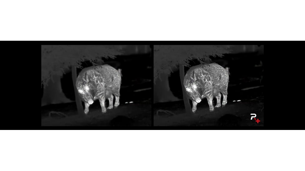 NOCPIX 4x 50mm ACE H50R Rangefinding Thermal Weapon Sight w/Ocular Zoom, 640x512 Sensor, Black, ACE-H50R