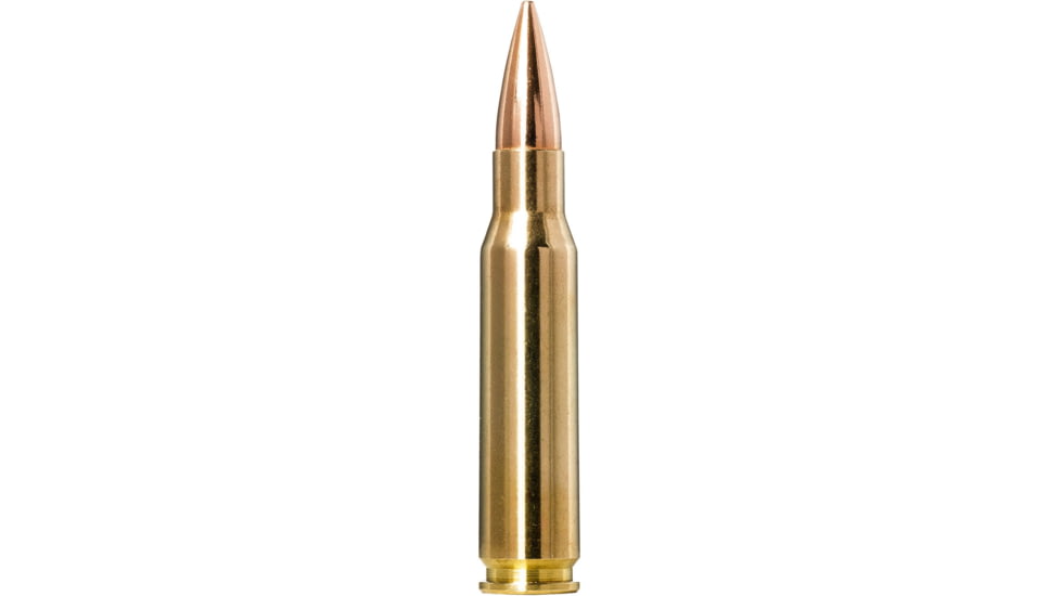 Norma Golden Target .308 WIN 168 Grain Boat Tail Hollow Point Brass Cased Rifle Ammo, 20 Rounds, 10177432