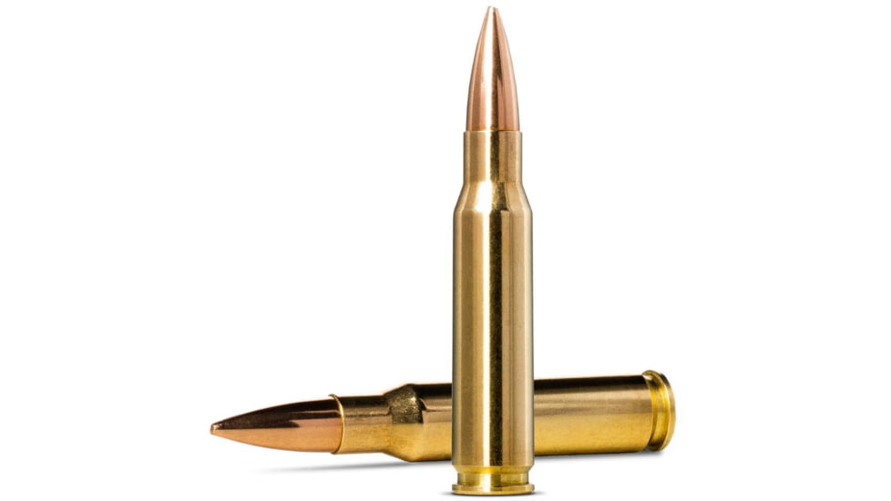 Norma MATCH .308 Winchester 175gr Brass Cased Centerfire Rifle Ammo, 20 Rounds, 10177442