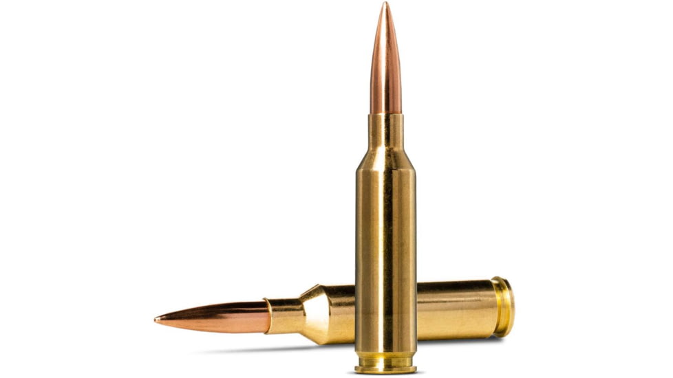 Norma MATCH 6mm Creedmoor 107gr Brass Cased Centerfire Rifle Ammo, 20 Rounds, 20160392