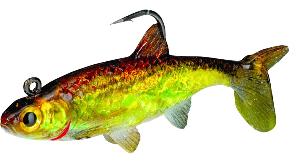 Northland Live-Forage Swimbait 1/4 oz, 2in 1/Cd Gold Shiner, LFS4-12