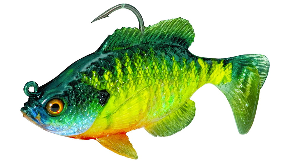 Northland Live-Forage Swimbait 1/8 oz, 2in 1/Cd Bluegill, LFS3-27