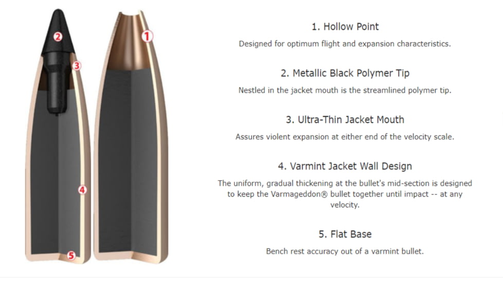 Nosler .17 Remington Fireball, Flat Base Tipped , 20 grain, Brass Cased, 20 Rounds, 63100