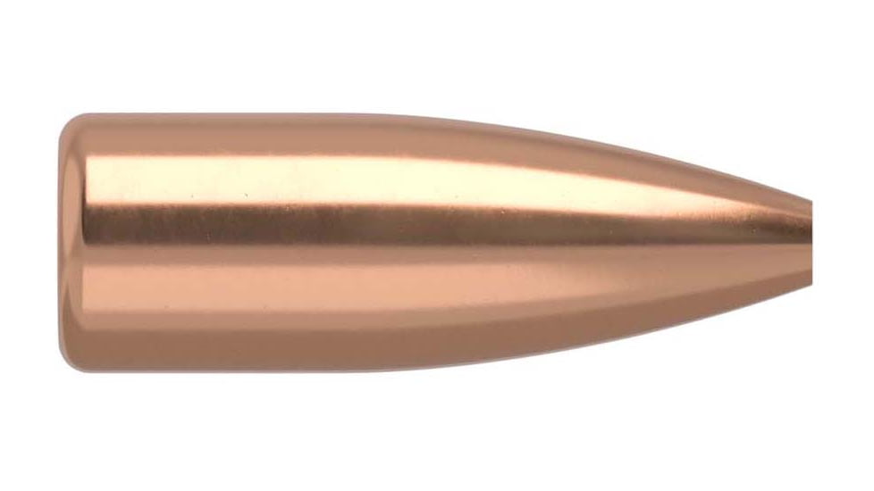 Nosler 17205 Varmageddon 17 Caliber .172 20 GR Flat Base Hollow Point FBHP 10