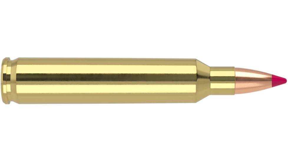 Nosler 204 Ruger, Ballistic Tip , 40 grain, Brass Cased, 20 Rounds, 61021