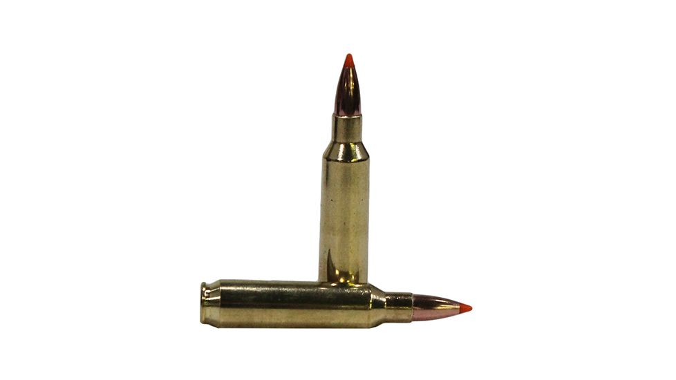 Nosler 22 55gr Ballistic Tip /20 60015
