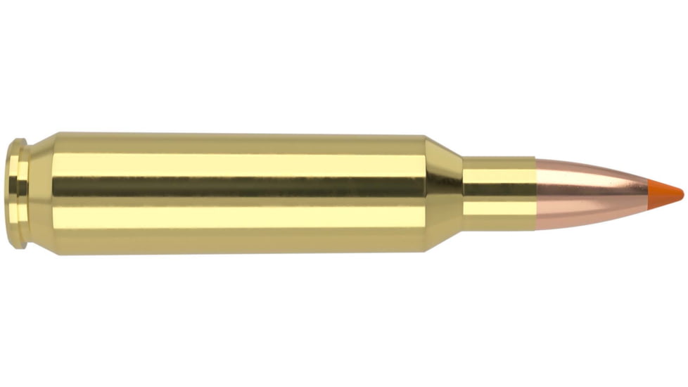 Nosler .22 Nosler, Ballistic Tip , 55 grain, Brass Cased, 20 Rounds, 61030