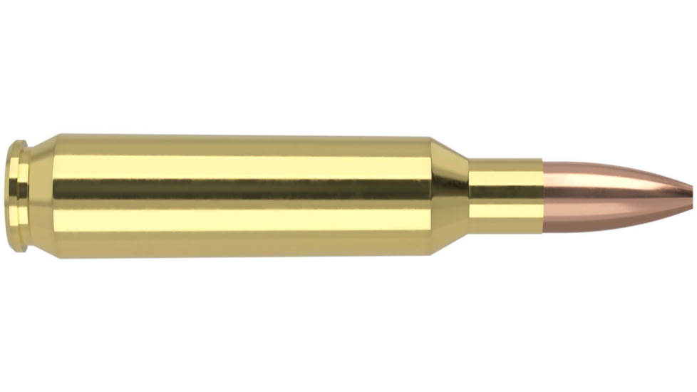 Nosler .22 Nosler, Flat Base Hollow Point, 62 grain, Brass Cased, 50 Rounds, 65180