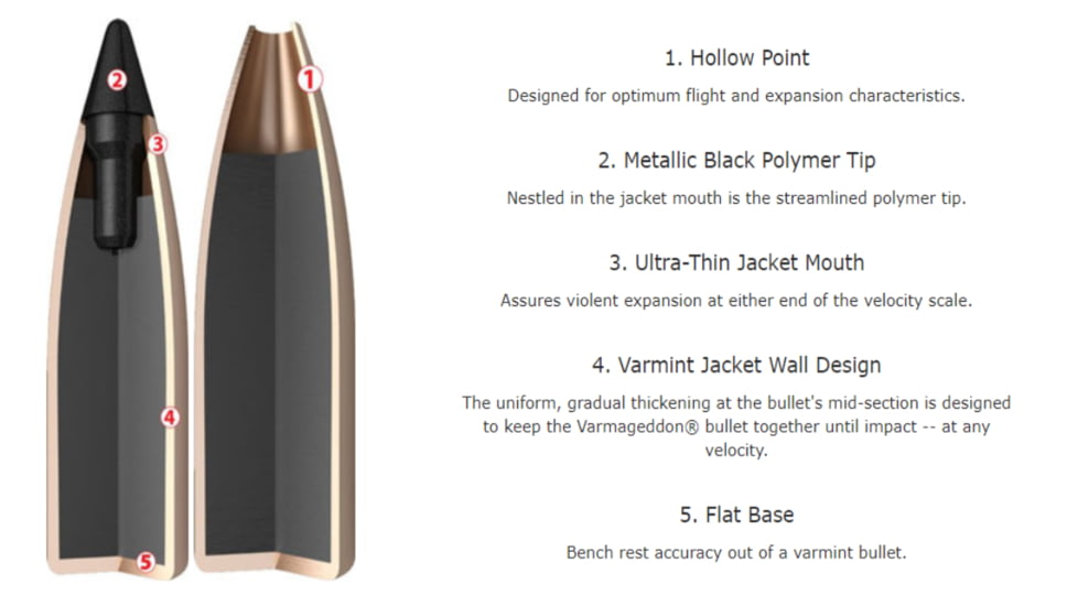 Nosler .22 Nosler, Flat Base Tipped , 53 grain, Brass Cased, 20 Rounds, 65177