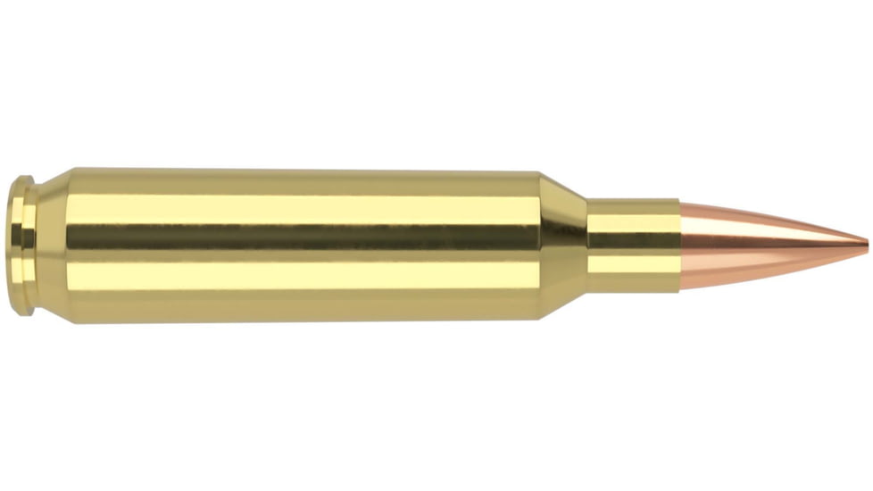 Nosler .22 Nosler, Round Nose Flat , 70 grain, Brass Cased, 20 Rounds, 60124