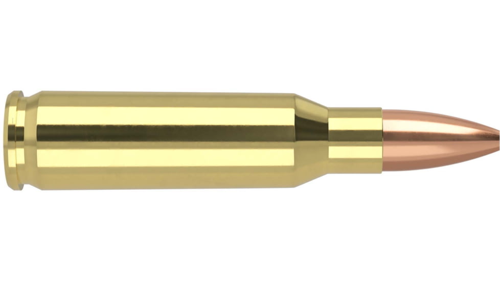 Nosler .221 Remington Fireball, Flat Base Hollow Point, 40 grain, Brass Cased, 20 Rounds, 65120