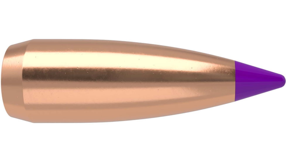 Nosler 24055 Ballistic Tip Varmint 6mm .243 55 GR Spitzer 100 Box