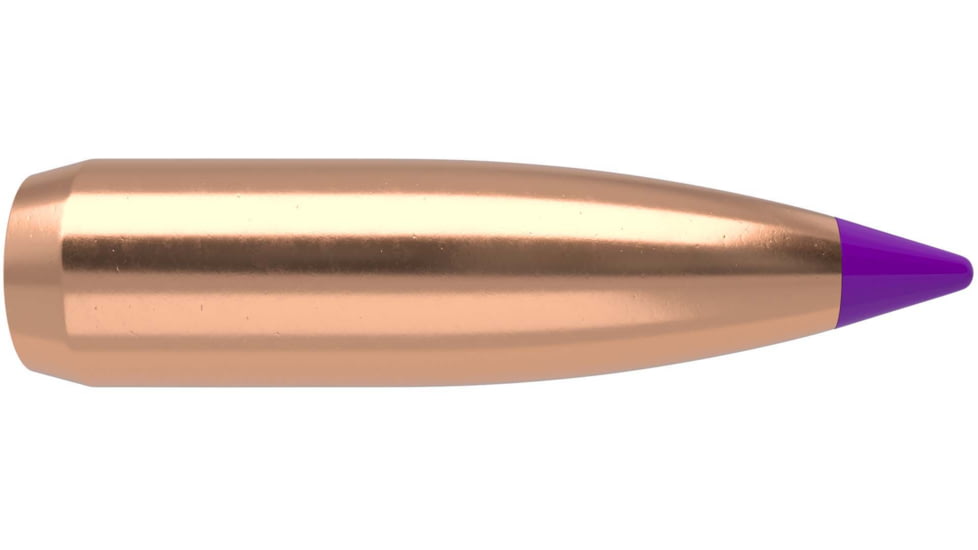 Nosler 24080 Ballistic Tip Varmint 6mm .243 80 GR Spitzer Point 100 Box