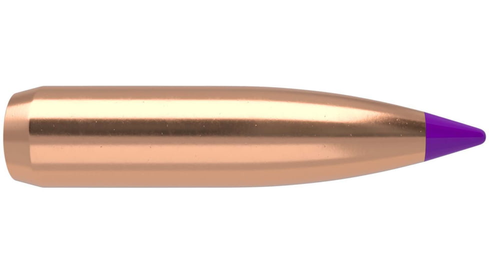 Nosler 24095 Ballistic Tip Hunting 6mm .243 95 GR Spitzer 50 Box