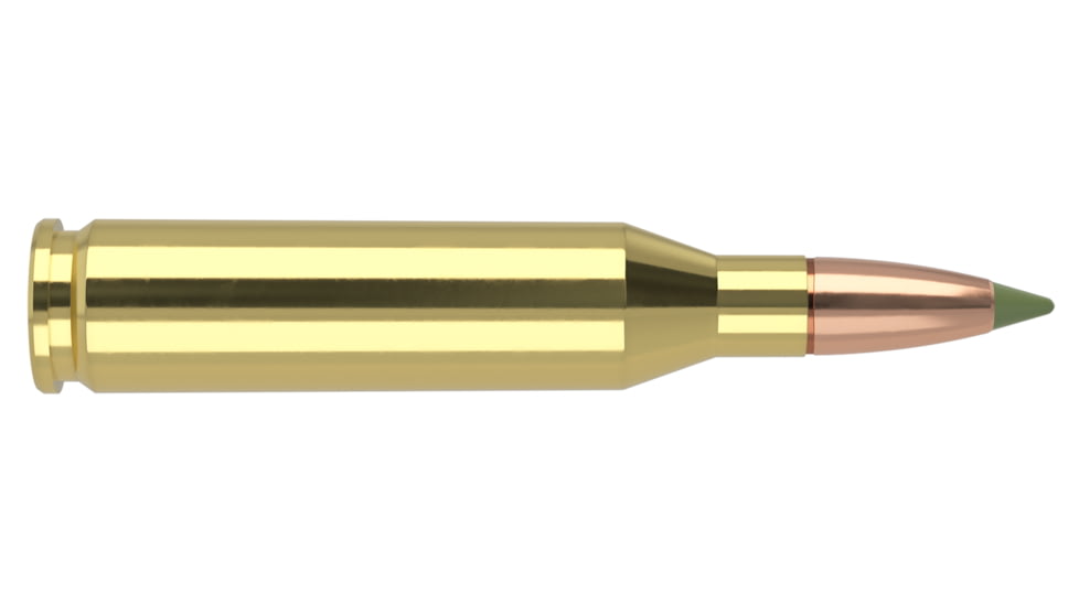 Nosler .243 Winchester 90 Grain E-Tip Lead-Free Brass Cased Centerfire Rifle Ammo, 200 Round