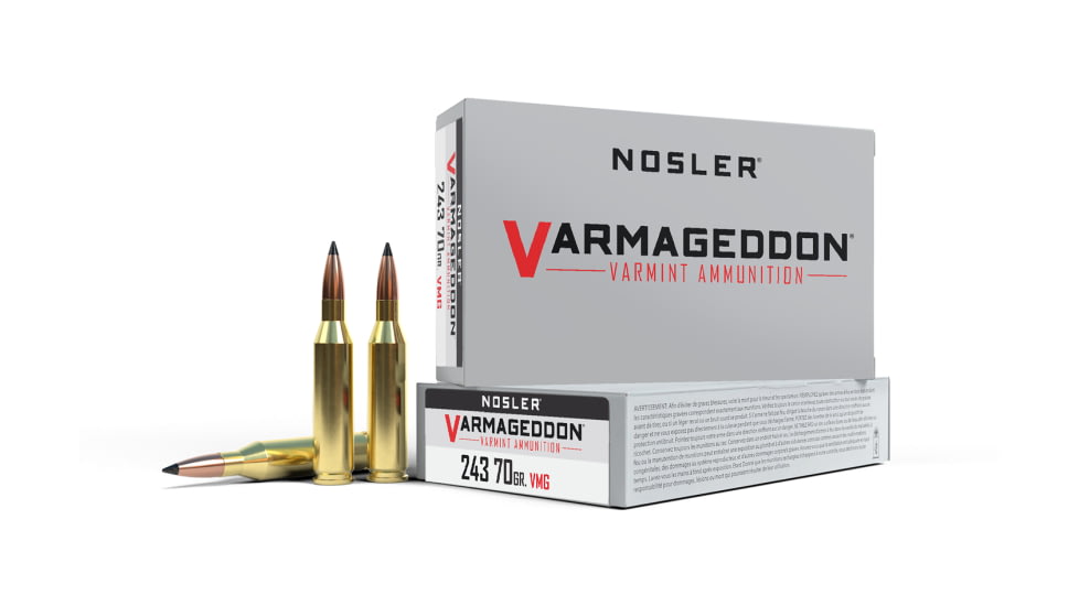 Nosler .243 Winchester, Flat Base Tipped , 70 grain, Brass Cased Ammo, 200 Round