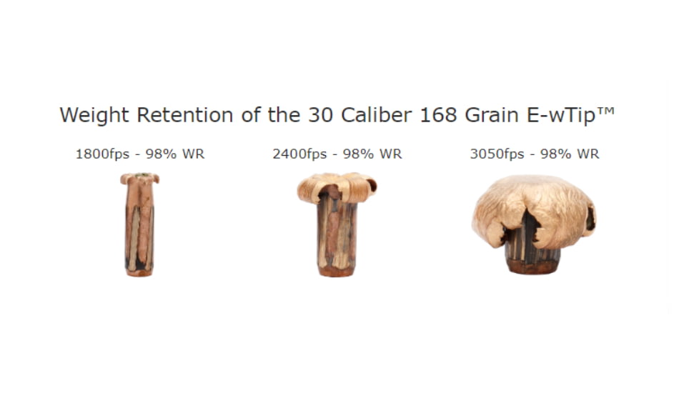 Nosler .270 Winchester, E-Tip , 130 grain, Brass Cased, 20 Rounds, 40031