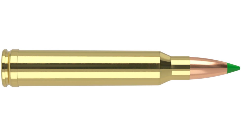 Nosler .300 Winchester Magnum 180 Grain Ballistic Tip Brass Cased Centerfire Rifle Ammo, 20 Rounds, 40053