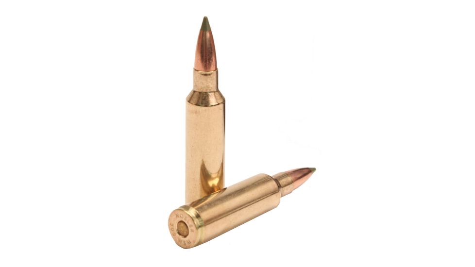Nosler 300 WSM 180gr E-Tip /20 60079