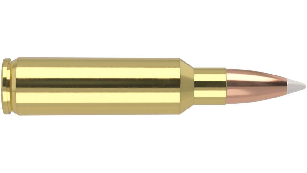 Nosler .325 Winchester Short Magnum, AccuBond , 200 grain, Brass Cased, 20 Rounds, 60077