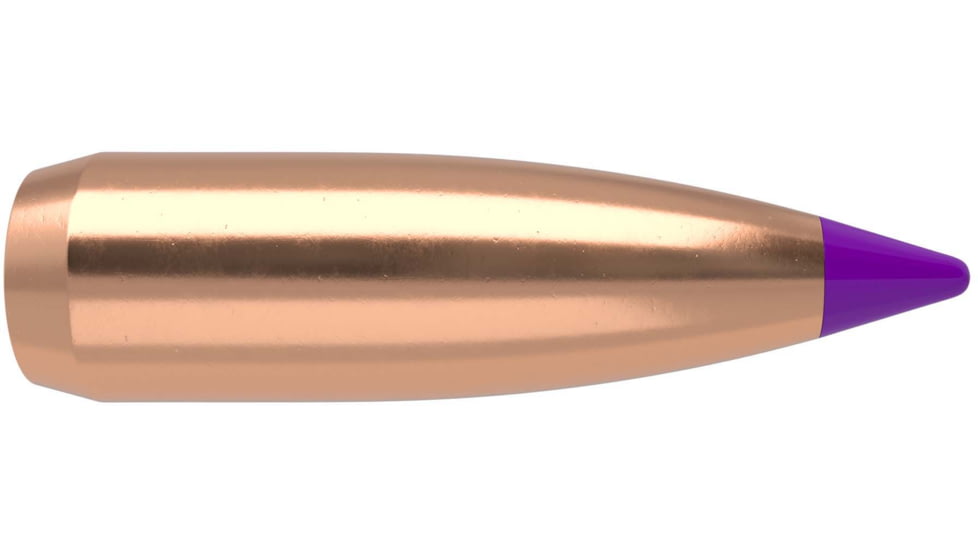 Nosler 39532 Ballistic Tip Varmint 6mm .243 70 GR Spitzer Point 100 Box