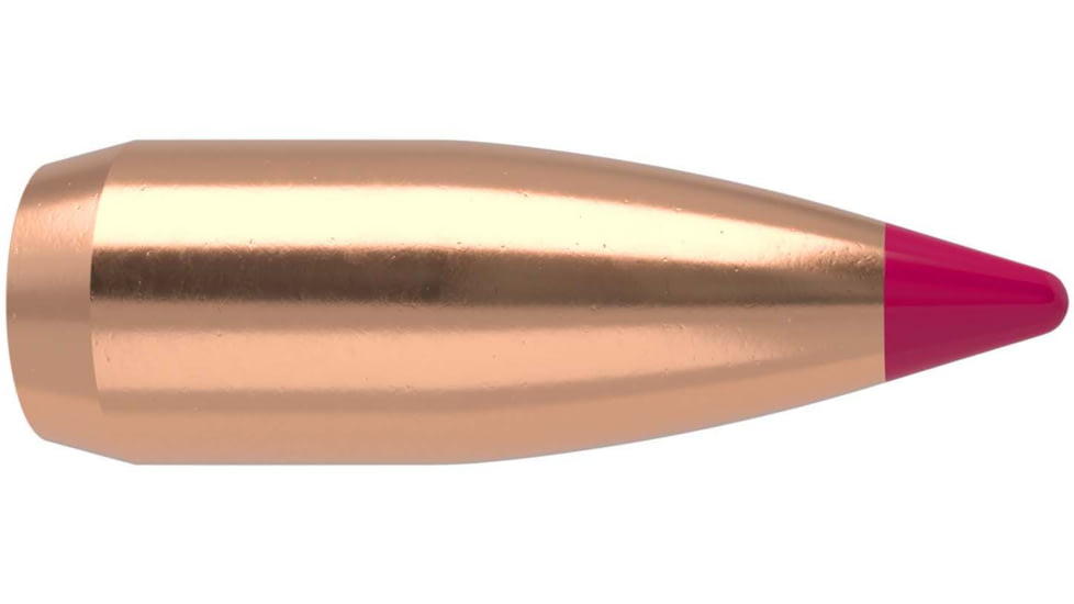 Nosler 39573 Ballistic Tip Varmint 204 Caliber .204 32 GR Ballistic Tip Varmint