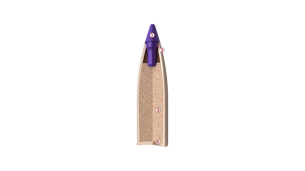 Nosler 45498 Ballistic Tip Varmint 22 Caliber .224 50 Gr Ballistic Tip Varmint 1