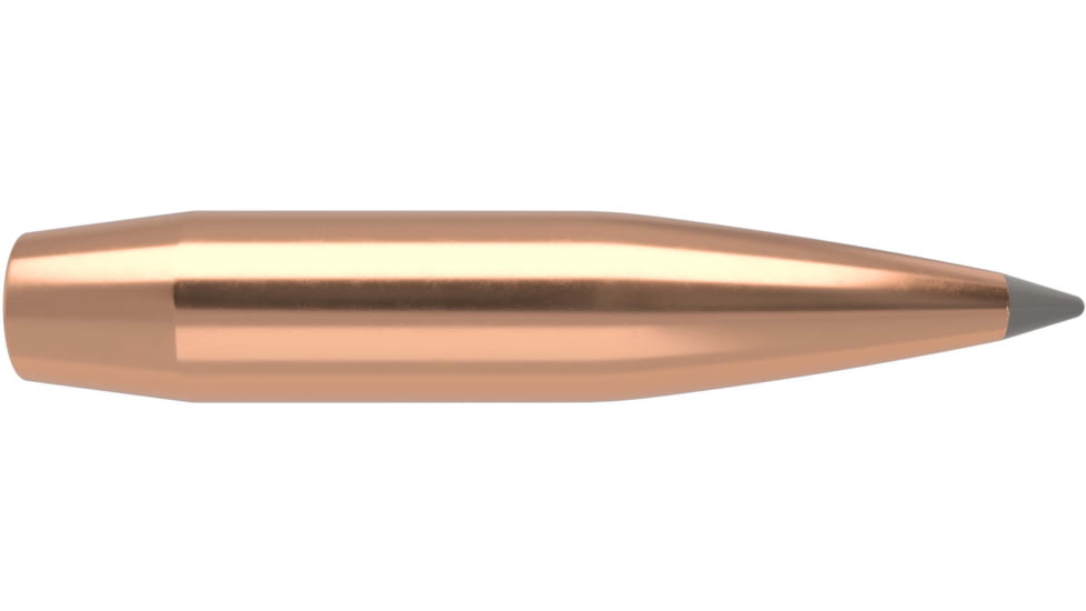 Nosler .338 Caliber Rifle Bullets, 300 Grain, Spitzer Boat Tail, 100 Bullets, 58518