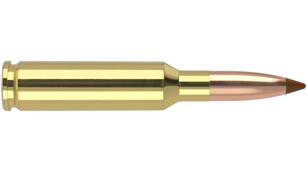 Nosler 6.5mm Creedmoor 140 Grain Ballistic Tip Brass Cased Centerfire Rifle Ammo, 20 Rounds, 40064