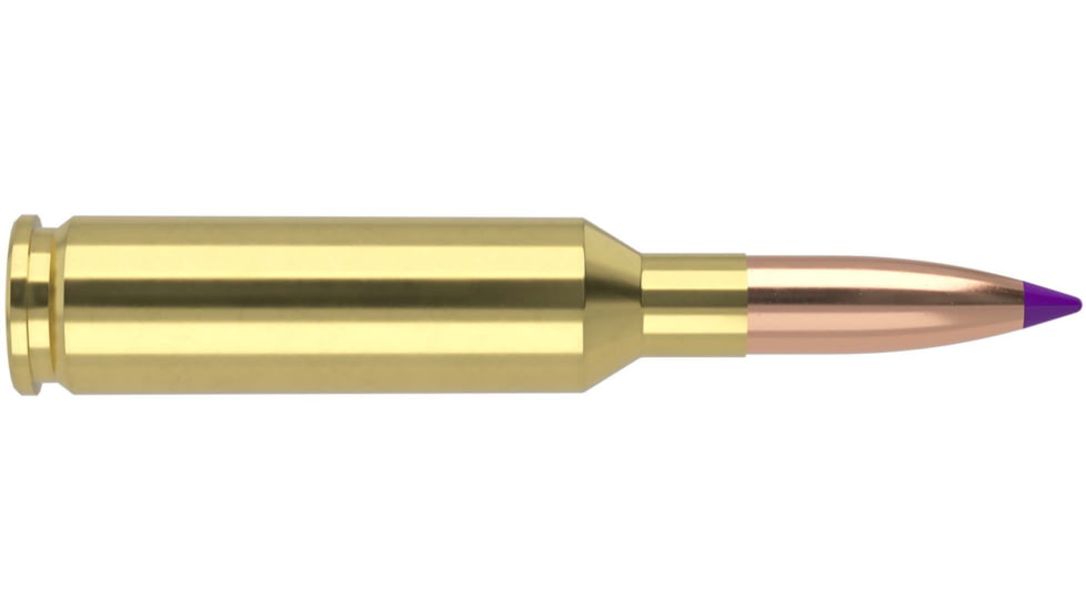 Nosler 6mm Creedmoor 95 Grain Ballistic Tip Brass Cased Centerfire Rifle Ammo, 20 Rounds, 40052