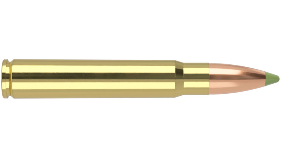 Nosler 9.3x62mm Mauser 250 Grain E-Tip Brass Cased Centerfire Rifle Ammo, 20 Rounds, 40393