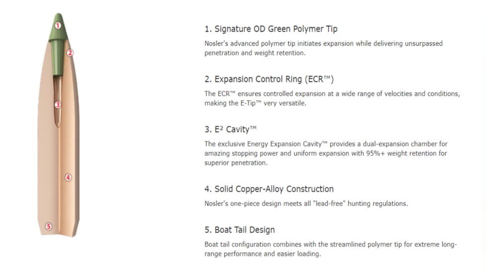 Nosler 9.3x62mm Mauser 250 Grain E-Tip Brass Cased Centerfire Rifle Ammo, 20 Rounds, 40393