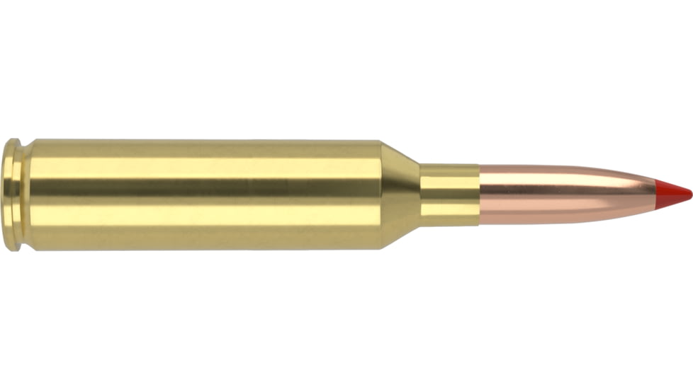 Nosler Ballistic Tip