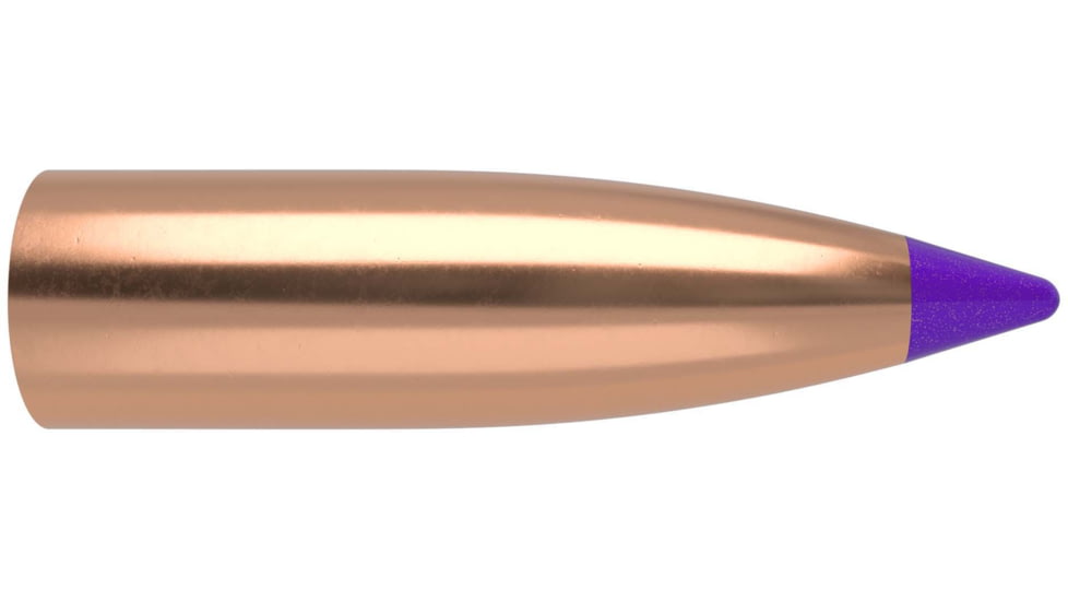 Nosler Ballistic Tip Lead Free Varmint Rifle Bullet 6mm 55gr, 100ct, 45170