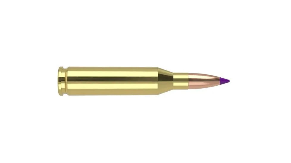 Nosler Ballistic Tip .243 Winchester 70 Grain Ballistic Tip Varmint Brass Cased Rifle Ammo, 20 Rounds, 40041