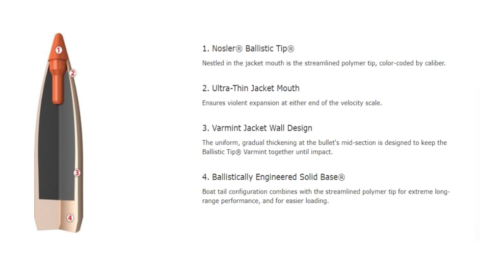 Nosler Ballistic Tip Varmint Rifle Bullet .22 Caliber 40gr, 1000ct, 62634