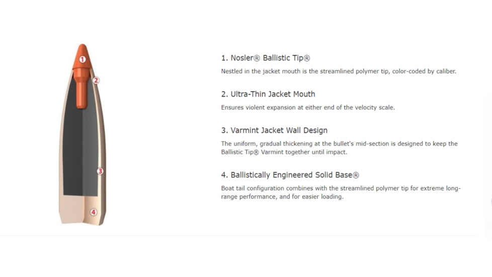 Nosler Ballistic Tip Varmint Rifle Bullet .22 Caliber 55gr, 1000ct, 11288