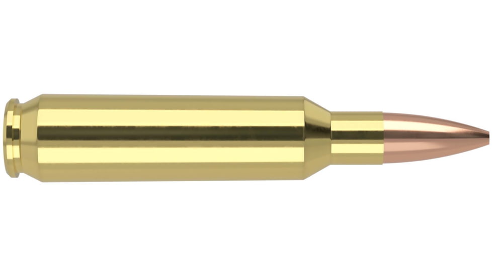 Nosler Math Grade .22 Nosler 77 Grain Custom Competition Brass Cased Centerfire Rifle Ammo, 20 Rounds, 60016