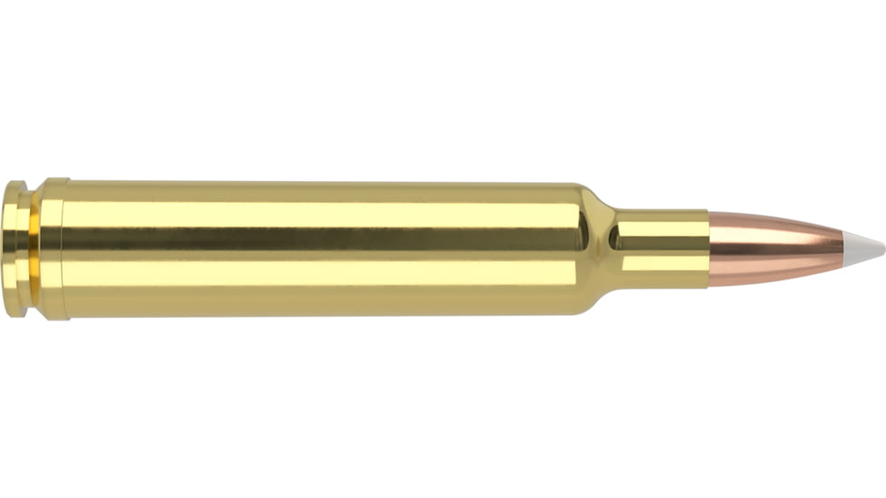 Nosler TGA Trophy Grade Ammunition 30-378 Weatherby Magnum 180 Grain AccuBond Brass Cased Centerfire Rifle Ammo, 20 Rounds, 60094