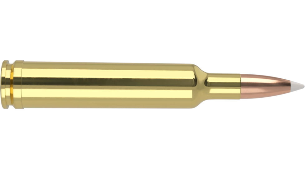 Nosler Trophy Grade .257 Weatherby Magnum 110 Grain AccuBond Brass Cased Centerfire Rifle Ammo, 20 Rounds, 60012