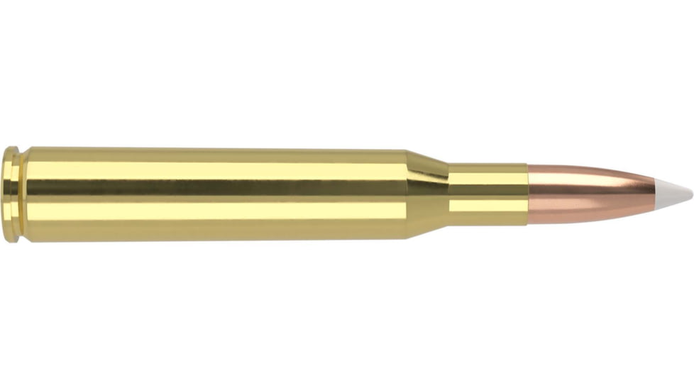 Nosler Trophy Grade .270 Winchester 130 Grain AccuBond Brass Cased Centerfire Rifle Ammo, 20 Rounds, 60025