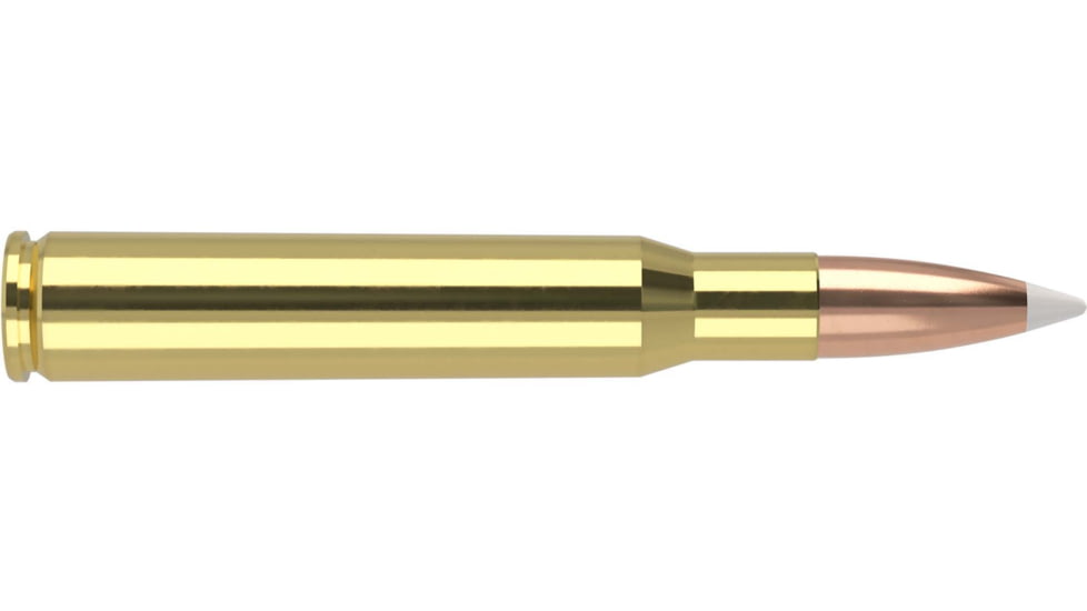 Nosler Trophy Grade .30-06 Springfield 180 Grain AccuBond Brass Cased Centerfire Rifle Ammo, 20 Rounds, 46134
