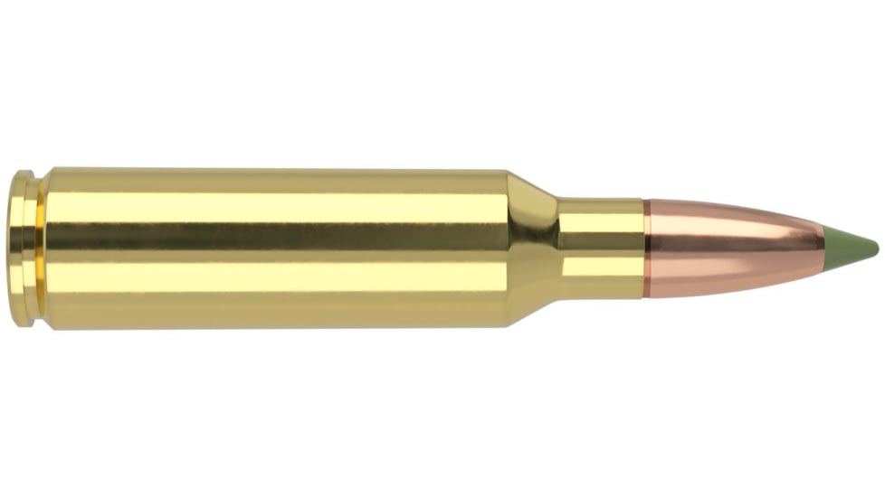 Nosler Trophy Grade .300 Winchester Short Magnum 180 Grain E-Tip Brass Cased Centerfire Rifle Ammo, 20 Rounds, 40152