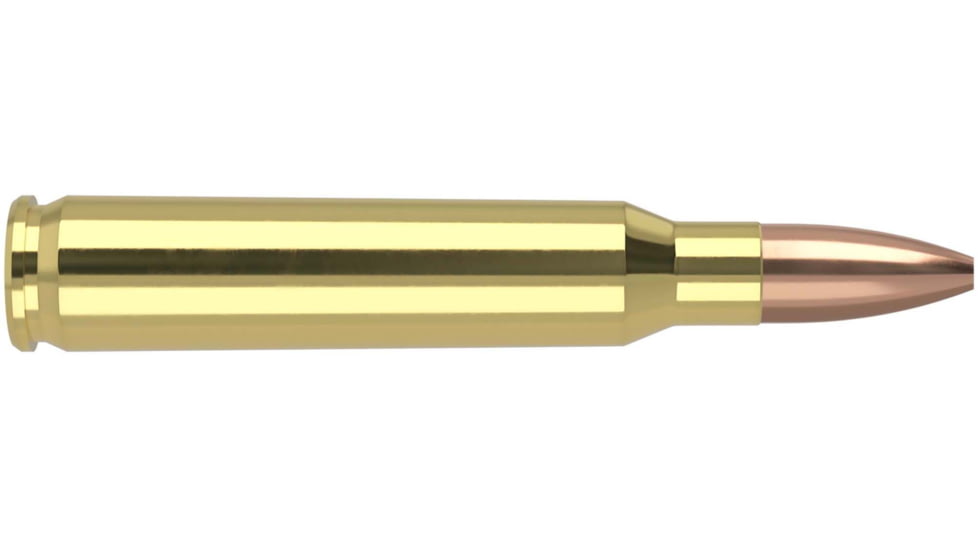 Nosler Varmageddon .223 Remington 62 Grain Flat Base Hollow Point Brass Cased Centerfire Rifle Ammo, 20 Rounds, 40223