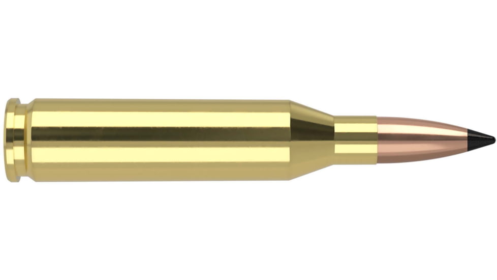 Nosler Varmageddon .243 Winchester 55 Grain Flat Base Tipped Brass Cased Centerfire Rifle Ammo, 20 Rounds, 65165