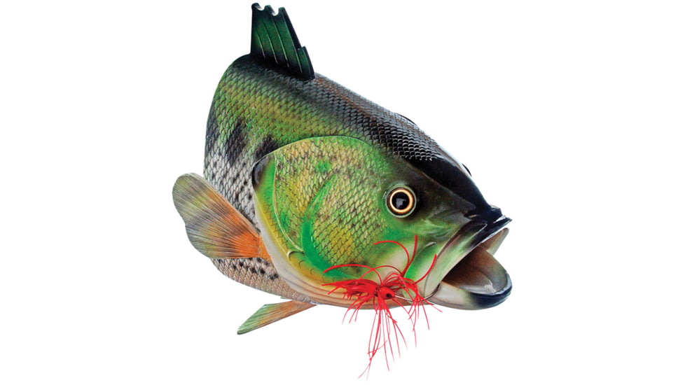 Outside Inside Large Mouth Bass Birdhouse 99806