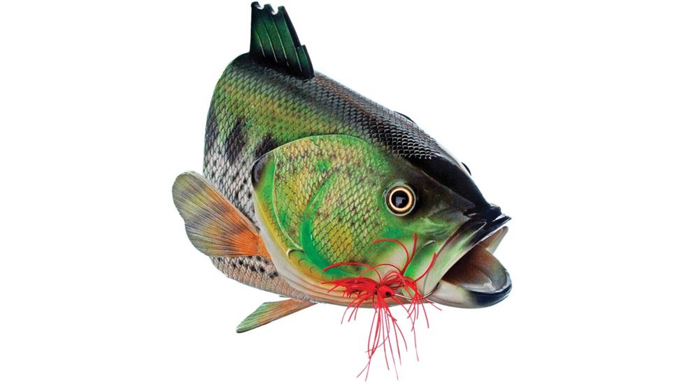 Outside Inside Large Mouth Bass Birdhouse 99806
