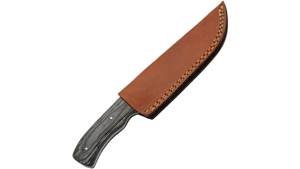 Pakistan Ash Hunter, PA203507