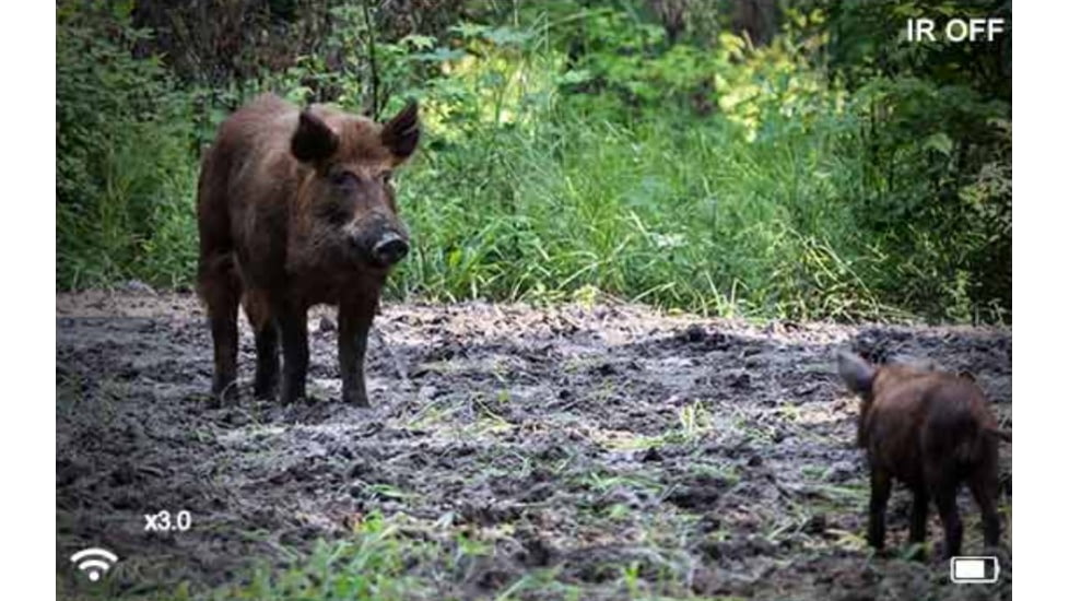 Pard 019 1-18x 32mm Night Vision Monocular Scope, Black, NV-019