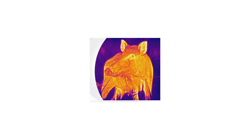 PARD Optics Pantera 640 3.8x75mm 30mm Tube Thermal Imaging Rifle Scope, 50hz, 640x512, Black, PA6-75/LRF